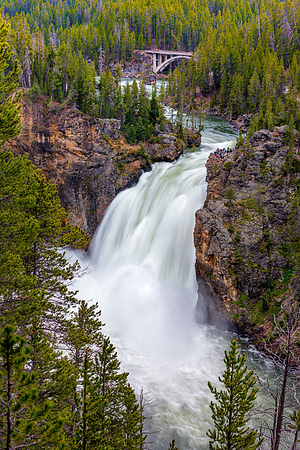 "upper falls", Yellowstone, river, "national park", waterfall,