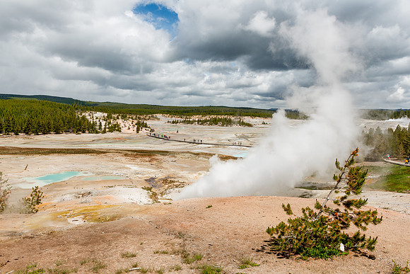 norris basin, porcelian basin, yellowstone, national, park