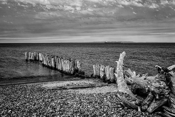 driftwood, whitefish point, lake superior, cargo, ship, beach, black and white, monotone