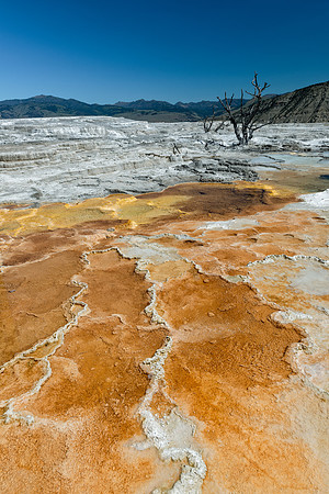 Mammoth Hot Springs.