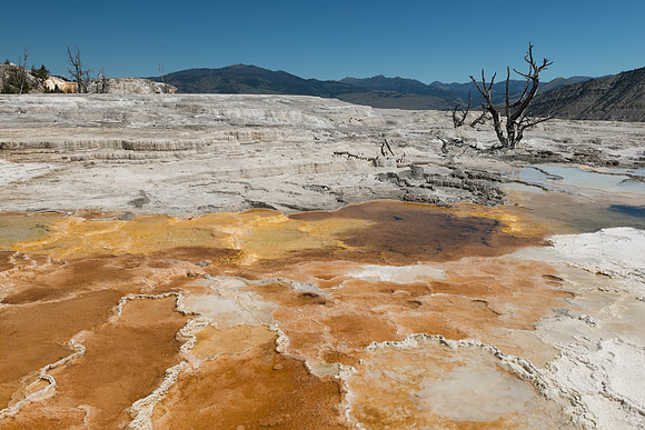 Colorful bacteria laden run off at Mammoth Hot Springs.