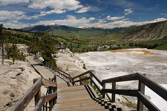 mammoth, hot spring, yellowstone