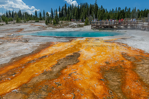 Bacteria mats at West Thumb