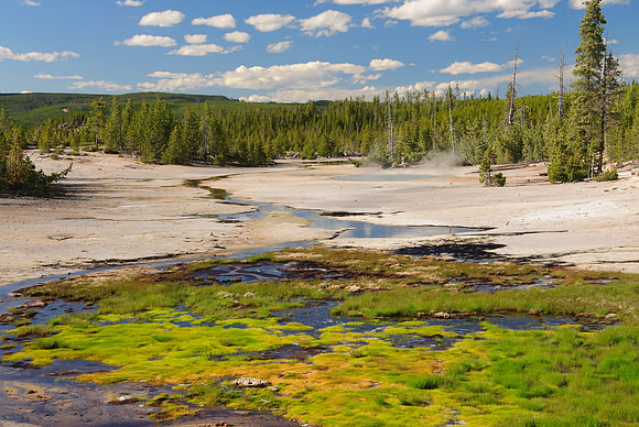 Norris Basin 2