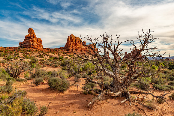 Landscape at Arches National Park