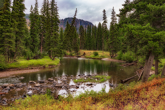 River at Lamar Valley