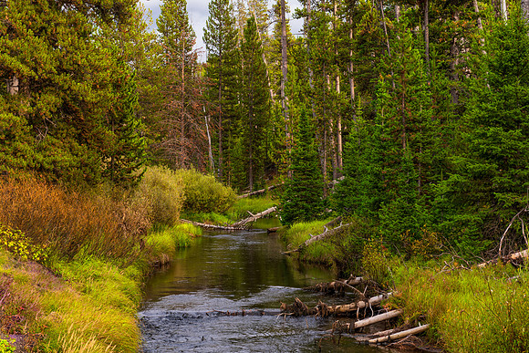 Creek