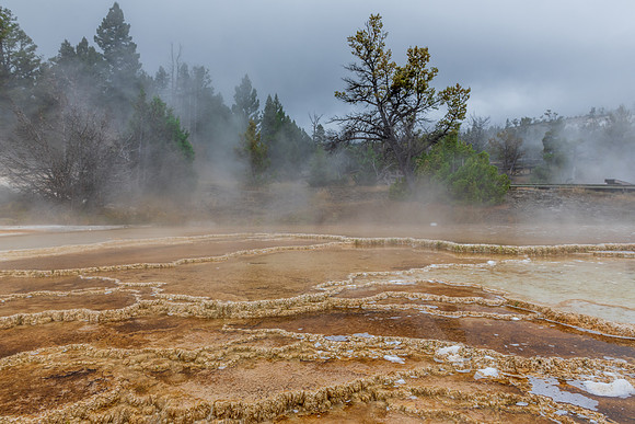 Mammoth Hot Spring landscape 1