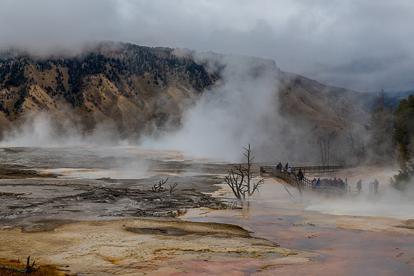Mammoth Hot Springs landscape 2