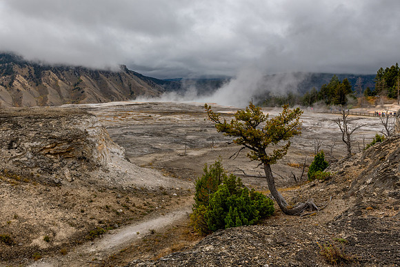 Mammoth Hot Springs landscape 4