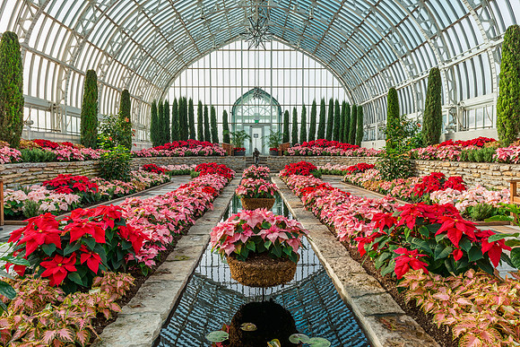 Marjorie Mcneely, Conservatory, como park, greenhouse, flowers, plants