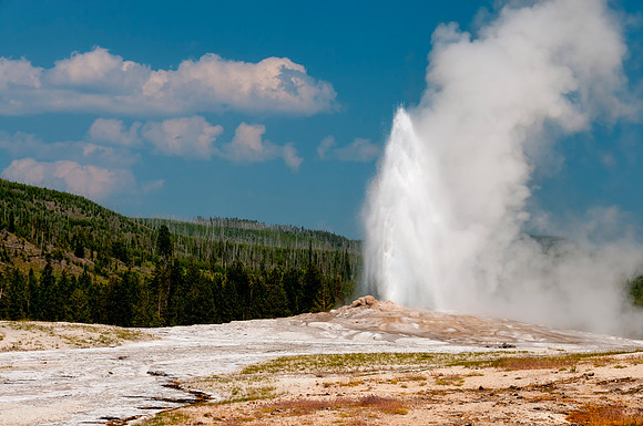 old, faithful, geyser, yellowstone, national park, wyoming, print