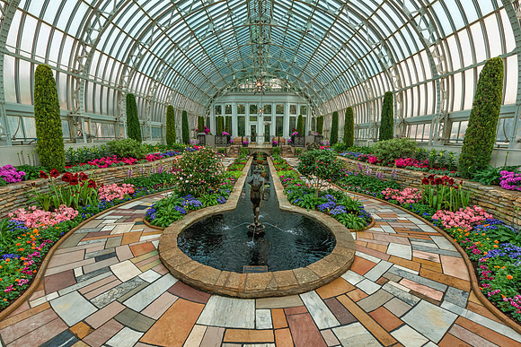 "Marjorie McNeely" conservatory, "como park", garden, flowers