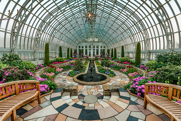 "Marjorie McNeely" conservatory, "como park", garden, flowers